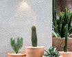 Illuminate Your Outdoors: Perfect Lighting for Every Occasion